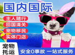乌兰浩特空运代理国际宠物托运 【国